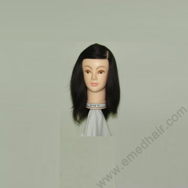 human hair training head